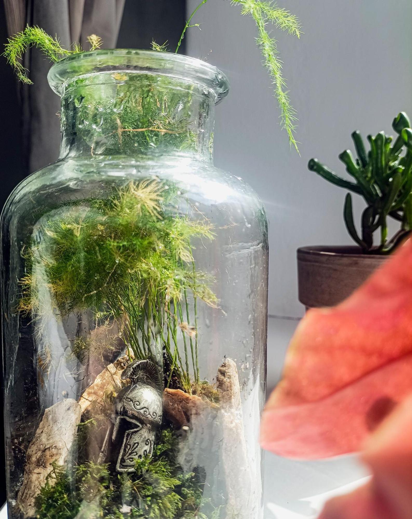 Friendly Little Studio Brasov Ngoại thất bức ảnh